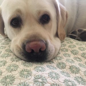 Meet your Posher, Caitlin